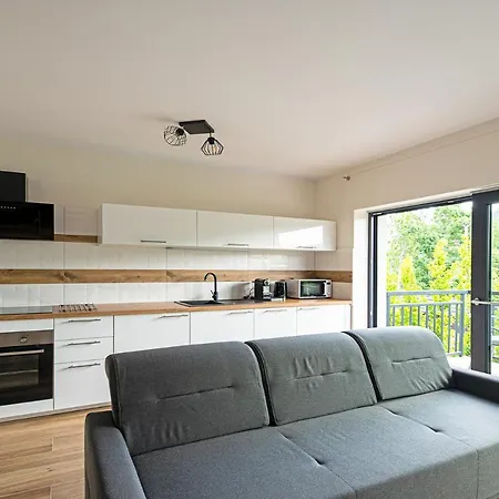 Sun&sport Apartament Widok Na Skrzyczne 1 Plus Sauna I Jacuzzi W Obiekcie *